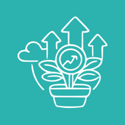 Growth plan